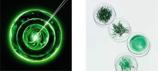 瓶新肌水+精华露层层强韧肌肤细嫩年轻肌！AG真人旗舰厅登录保税直发HR赫莲娜绿宝(图6)