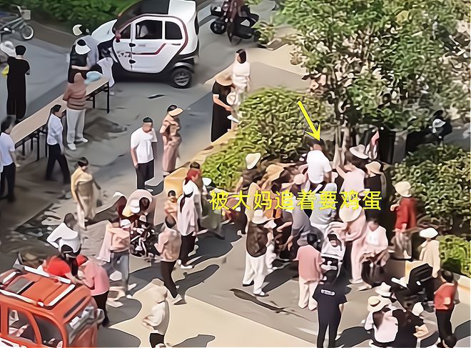 大妈连盆都端走了还围堵物业要鸡蛋AG真人山东：小区端午免费包粽子(图2)